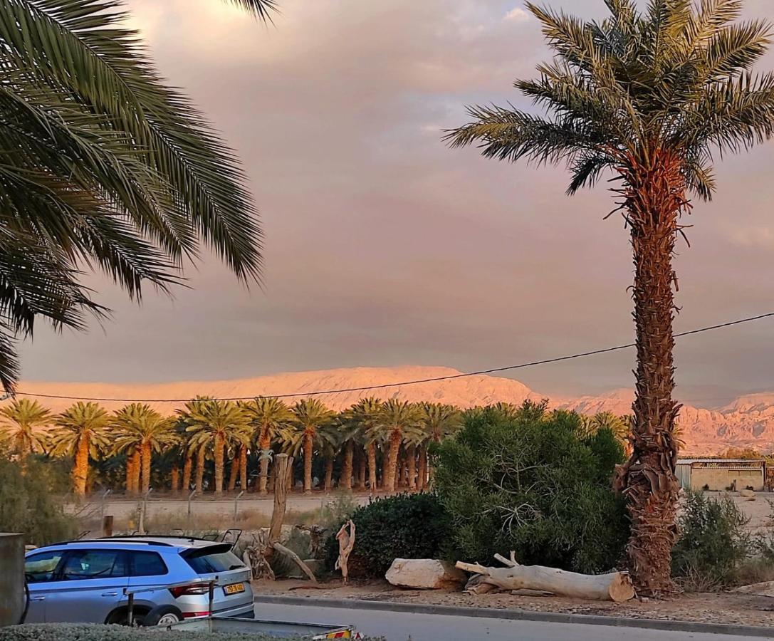 Belfer'S Dead Sea Cabins Neot HaKikar Esterno foto